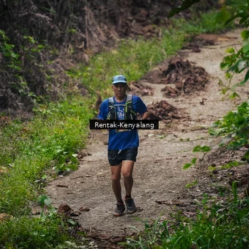 Runner Photo 8377732