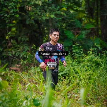 Runner Photo 8377733