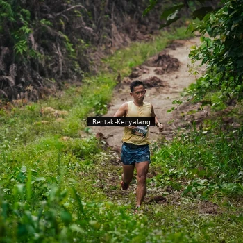 Runner Photo 8377734