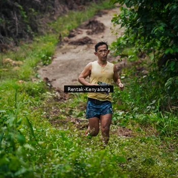 Runner Photo 8377738