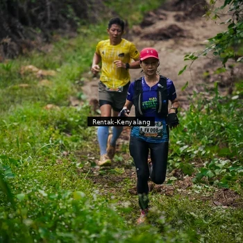 Runner Photo 8377741