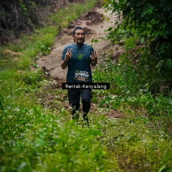 Runner Photo 8377748