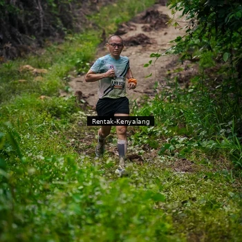 Runner Photo 8377752