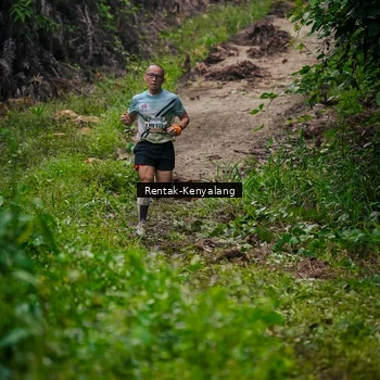 Runner Photo 8377756