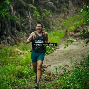 Runner Photo 8377757