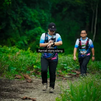 Runner Photo 8377807