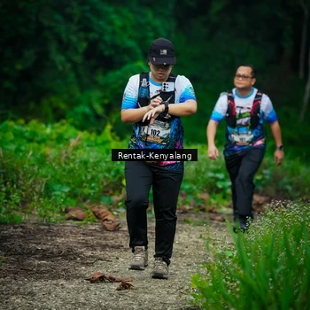 Runner Photo 8377812