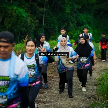 Runner Photo 8377820