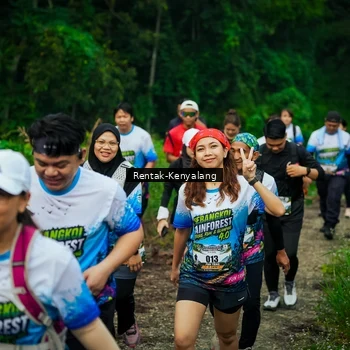 Runner Photo 8377836