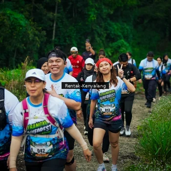 Runner Photo 8377841