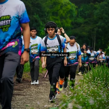 Runner Photo 8377851