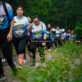 Runner Photo 8377854