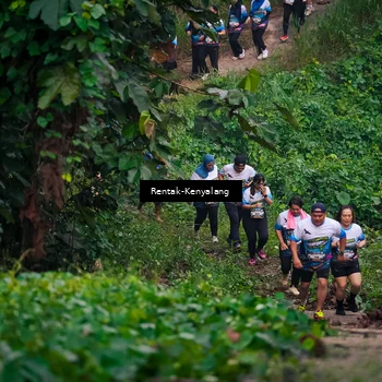 Runner Photo 8377928