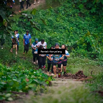 Runner Photo 8377929