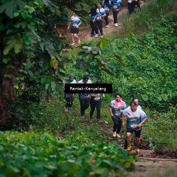 Runner Photo 8377933
