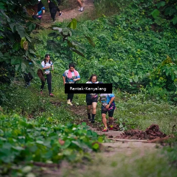 Runner Photo 8377937