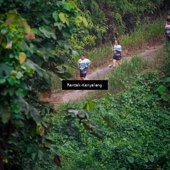 Runner Photo 8377939
