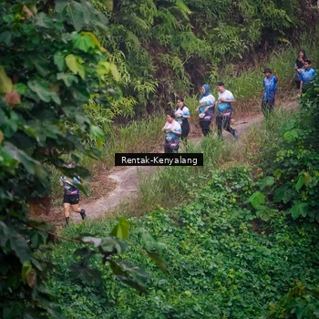 Runner Photo 8377940