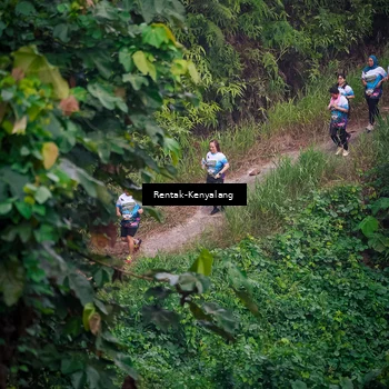 Runner Photo 8377942