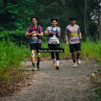 Runner Photo 8377950