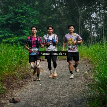 Runner Photo 8377954