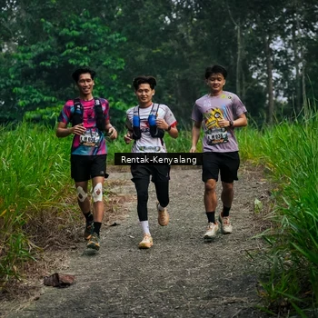 Runner Photo 8377963