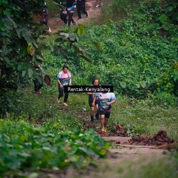Runner Photo 8377984
