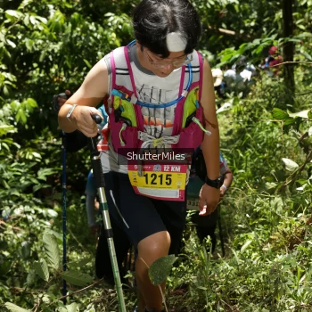 Runner Photo 83786