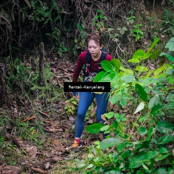 Runner Photo 8379025