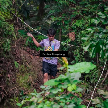 Runner Photo 8379031