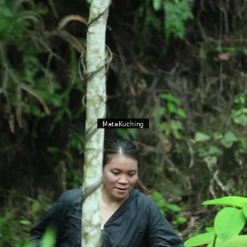Runner Photo 8380830
