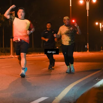 Runner Photo 8381895
