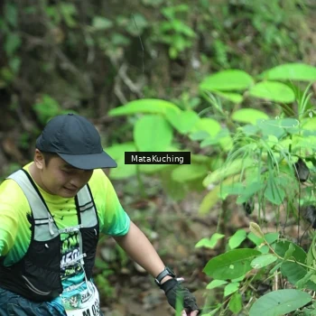 Runner Photo 8382538