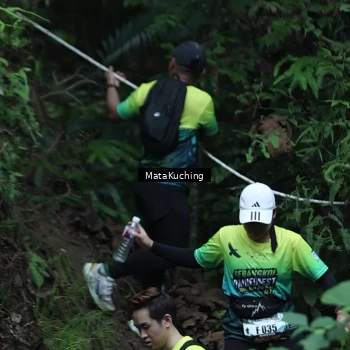 Runner Photo 8382894