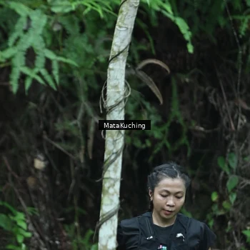 Runner Photo 8384224