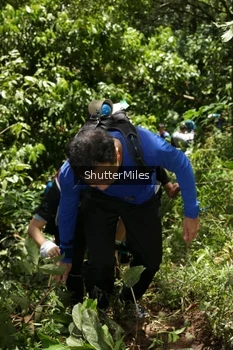Runner Photo 83851