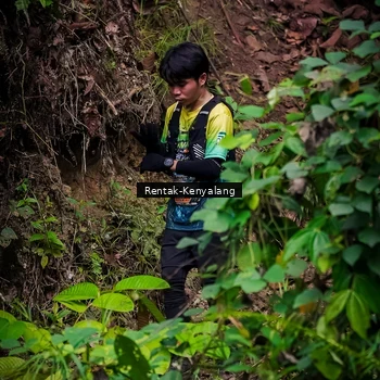 Runner Photo 8387764