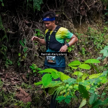 Runner Photo 8387766