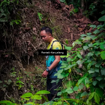 Runner Photo 8387769