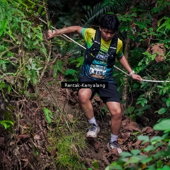 Runner Photo 8387776