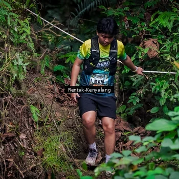 Runner Photo 8387777