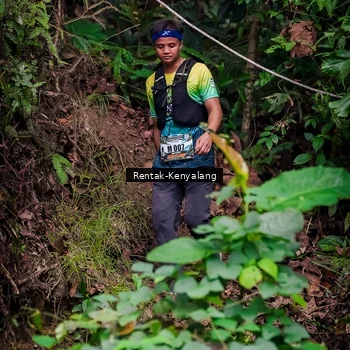 Runner Photo 8387781