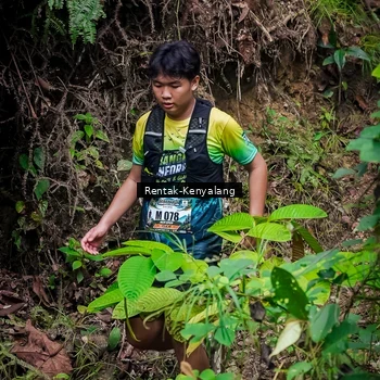 Runner Photo 8387789
