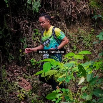 Runner Photo 8387798