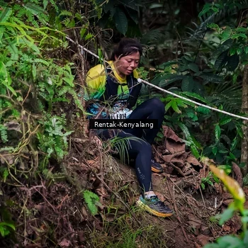 Runner Photo 8387808