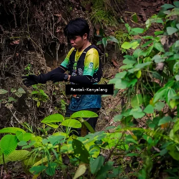 Runner Photo 8387813