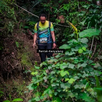 Runner Photo 8387814