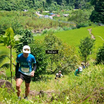 Runner Photo 83900
