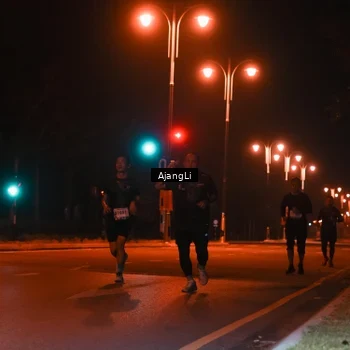 Runner Photo 8391362