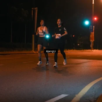 Runner Photo 8391897